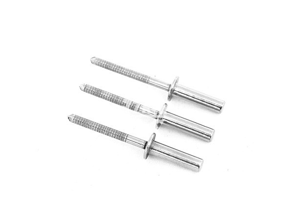 封閉圓頭不銹鋼鉚釘